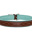 ExionPro Fancy Stitched Padded Leather Dog Collar - Sky Blue Padding