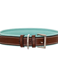 ExionPro Fancy Stitched Padded Leather Dog Collar - Sky Blue Padding