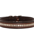 ExionPro Silver Clincher Padded Leather Dog Collar - Brown Padding