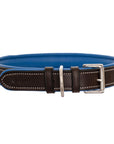 ExionPro Silver Snaffle Padded Leather Dog Collar - Blue Padding