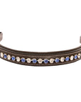 ExionPro Elegant Blue & Clear Crystal Browband