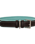 ExionPro Silver Snaffle Padded Leather Dog Collar - Sky Blue Padding