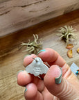 Stud Earrings – Orange Spiny & Turquoise (Stamped Marcella James)