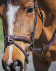 Replacement Noseband of ExionPro Fully Padded Snaffle Bridle with U Shaped Detachable Flash