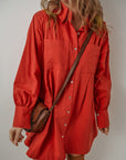Eleanor Bishop Sleeve Button Up Pleated Mini Dress