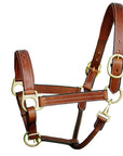 ExionPro Triple Stitched Leather Halter - Brass Hardware