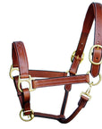 ExionPro Triple Stitched Leather Halter - Brass Hardware