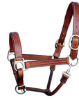 ExionPro Triple Stitched Leather Halter - Brass Nickel Hardware