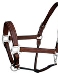ExionPro Fancy Stitched Leather Halter - Brass Nickel Hardware