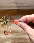 Heart Ring - Size 6 -Dahlia ring and sterling silver IIII