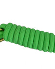 AJ Tack 9 Foot Nylon Lead Rope with Leather Popper