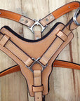 Large Leather Dog Harness Tan Padded Genuine With Matching Leash Hilason