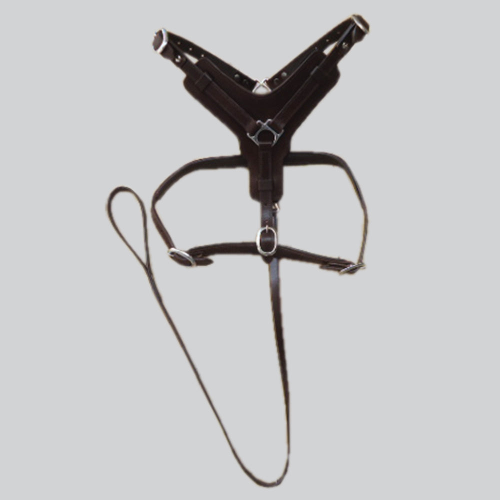 Sml Hilason Western Padded Dog Harness Genuine Leather Stainless Steel Black