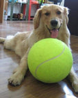 Jumbo Tennis Ball