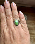 Small Ring- size 6 - Sonoran Gold Turquoise & Sterling Silver