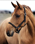 Full Size Black Horze Nylon Halter W/ Diamonds Adjustable Horse Tack