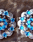 Blue Brown 1-1/4 In. Berry Headstall Saddle Bling