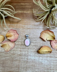 Simple Pink Conch Pendant – Sterling Silver, Made in USA