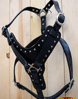 HILASON Genuine Leather Dog Harness Padded Heavy Duty & Comfortable Fit