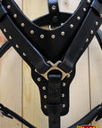 HILASON Genuine Leather Dog Harness Padded Heavy Duty & Comfortable Fit