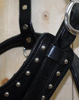 HILASON Genuine Leather Dog Harness Padded Heavy Duty & Comfortable Fit