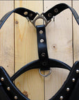 HILASON Genuine Leather Dog Harness Padded Heavy Duty & Comfortable Fit
