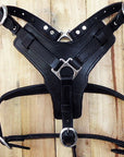 Large Leather Dog Harness Black Padded Genuine Matching Leash Hilason