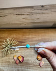 Small Cuff Bracelet - Kingman Turquoise & Sterling Silver