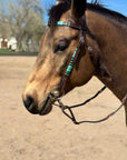 Turquoise Rawhide Dark Leather Browband Headstall
