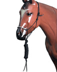 Classic Equine Horse Nylon Rawhide Noseband Halter Black White