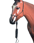 Classic Equine Horse Two Tone Nylon Halter Black Tan
