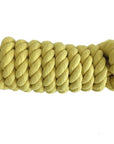 AJ Tack 10 Foot Cotton Lead Rope with Bull Snap
