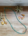 33” Graduated Turquoise & Spiny Oyster Necklace