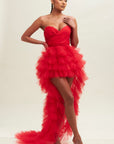 Pretty Little Tulle Dress