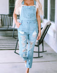 Sophia Constructed Bib Distressed Overalls