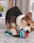 Treat Dispensing Dog Pull Toy