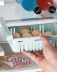Refrigerator Storage Drawer