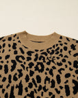 Leopard Ribbed Trim Crewneck Drop Shoulder Sweater