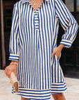 Stripe Buttoned Collar Side Pockets Mini Dress