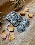hree-Tier Concho Statement Earrings – Sterling Silver, Native Made by Leander & Rhonda Largo