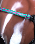Classic Equine Horse Nylon Body Uv Resistent Rawhide Noseband Halter Purple