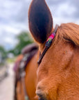 Desert Sunset *Mini* Beaded Headstall