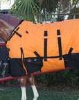 HILASON 1200D Winter Waterproof Turnout Horse Blanket Belly Wrap| Turnout Horse Blanket | Turnout Horse Blankets for Winter Waterproof | Horse Turnout Blanket | Horse Turnout