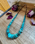 Shell & Turquoise Graduated Necklace – 23"