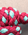 Hilason Horse Riding Poly Lead Rope 1/4" X 9 Ft. Red Turquoise