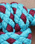 Hilason Horse Riding Poly Lead Rope 1/4" X 9 Ft. Red Turquoise