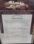 15" Silverton Mule Saddle