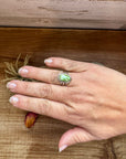 Small Ring- size 6 - Sonoran Gold Turquoise & Sterling Silver