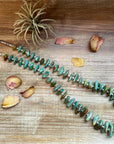 34-Inch Natural Shell & Turquoise Nugget Necklace