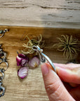 Naja Pendant with Purple Spiny Oyster & Yellow Tint – Sterling Silver – Native Made by MC